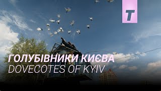 Голубівники Києва / Dovecotes of Kyiv