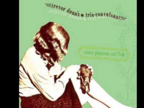 Trevor Dunn's Trio Convulsant - The Empty Glass Has a name