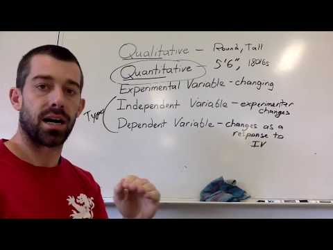 1 1 Experimental Variables