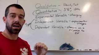 1.1 Experimental Variables