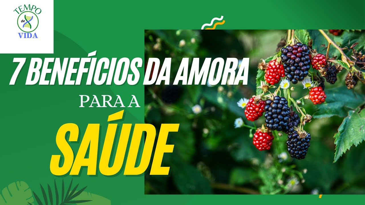 Benefícios da Amora