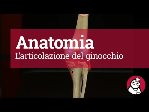 Riabilitazione dopo lintervento chirurgico per ernia discale intervertebrali Frequente scricchiolio nella regione cervicale