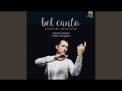 La Favorita, Act III, Scene 4: Air de Léonore "Ô mon Fernand" (Arr. for Piano & Viola)