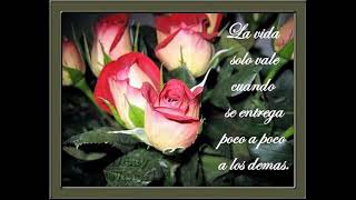 Bronco ._%Amor sin amor no sirbe