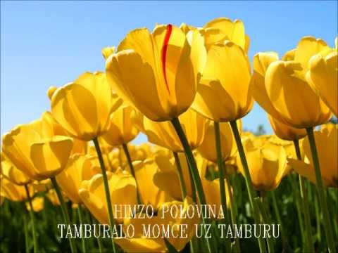 HIMZO POLOVINA - Tamburalo momce uz tamburu