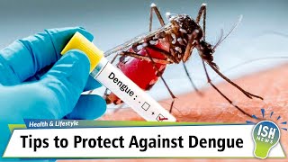 Tips to Protect Against Dengue