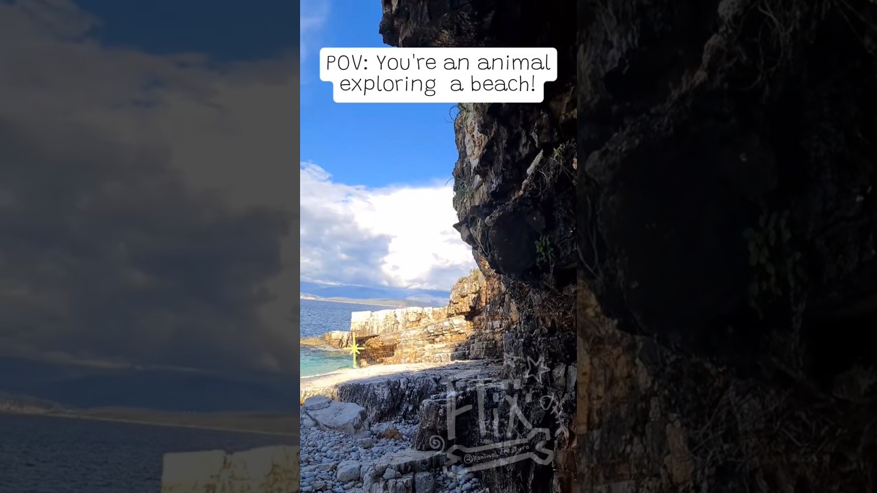 Alterhuman/quadrobics POV‼️ [#therian #therianshift #alterhuman #therianpride#quadrobist#quadrobics]