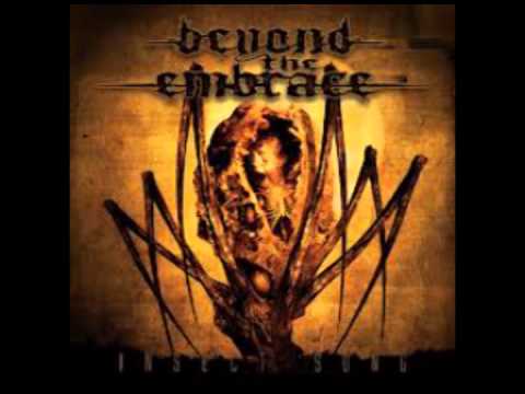 Beyond the Embrace - My Fall