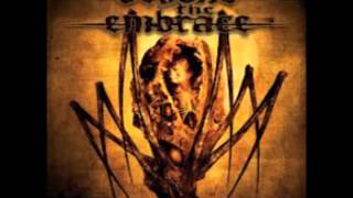 Beyond the Embrace - My Fall