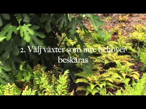 Topp 3 bästa knepen för att spara tid i trädgården