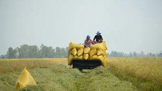 Food and Agriculture Trade and Investment