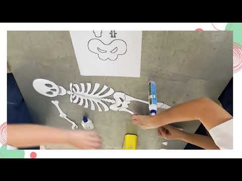 五年级 科学 主要骨骼名称 活动