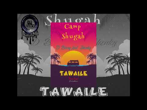D Bwoy Telem Ft  Shenky   Tawaile