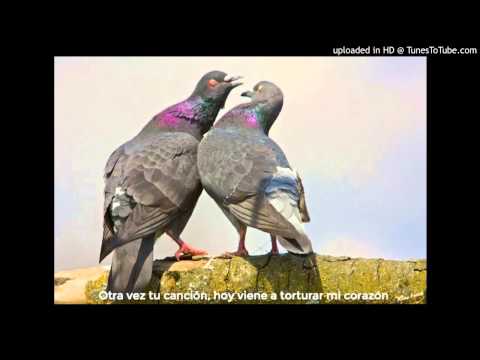 Today's Tango Is... La Torcacita - Enrique Rodríguez 18-12-1940