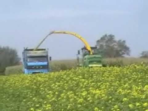 Druelle: Mais hakselen.