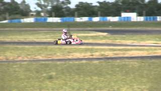 preview picture of video 'Gokart race  Rotax DD2, DD2 Masters Final  - RMC CEE Round 2 & RMC Hungary Round 4 Pannonia-ring'