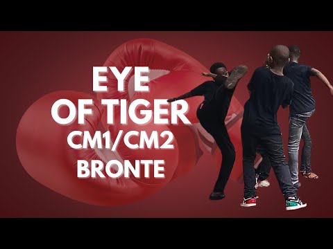 Eye of the tiger  #CM1 #CM2 #chorégraphie