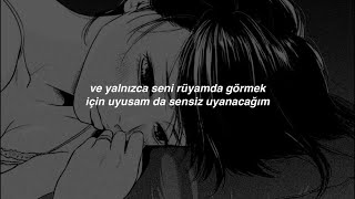 evanescence // missing (türkçe çeviri)