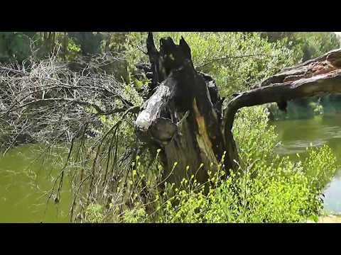 Cyklopotulky  v Dyjskom trojuholníku