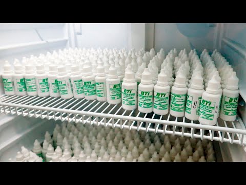 Capacitaron a agentes municipales de la Capital en el uso de un biolarvicida para el dengue