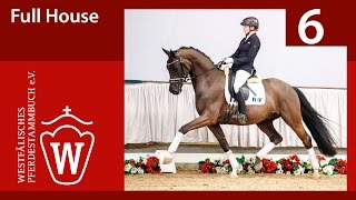 Video von Full House