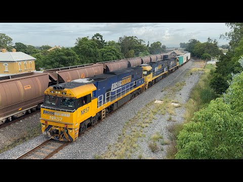 Pacific National’s NR57, NR49 & NR73 with 4BM4 at East Maitland - 27/3/25