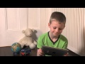 Dinosaurus Trailer