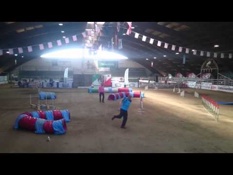 Dominique & Enzo Jumping individual IFCS WAC 2015