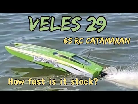 Proboat Veles 29" RC Catamaran...This boat packs lots of power stock🔥#rc #rcboat #proboat #speedrun