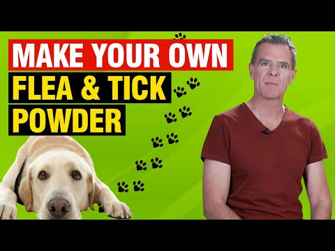 How to Make Your Own Flea and Tick Powder For Dogs [Amazingly Effective]