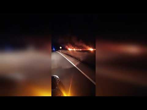 Aciaga jornada para los ganaderos con bajadas de los terneros, lechazos y porcino ibérico