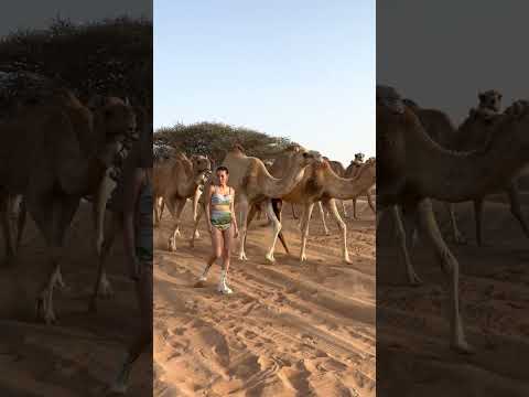 ketemu guest star dadakan.. #photoshoot #photooftheday #cinematicvideo #photoediting #photography