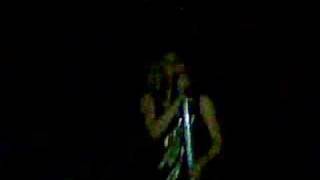 Better In The Dark - Rogue Traders