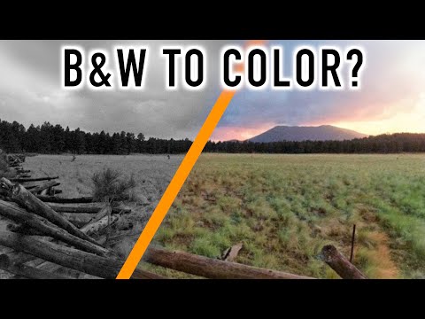 Leigh Surgery Update & Can You Transform Monochrome Images to Color?