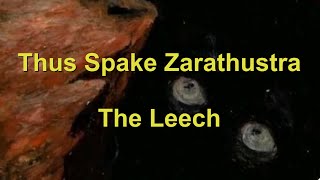 Analyzing Nietzsche: The Leech