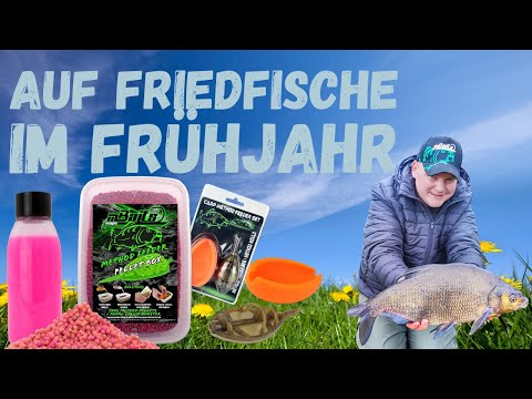 Angeln auf Friedfische im Frühjahr Method Feedern mit Erfolg Friedfischangeln mit Magic Baits