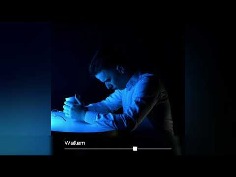 Wallem - Харизма (Премьера трека 2024)