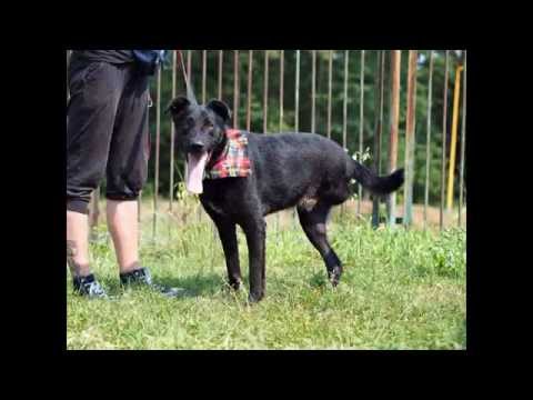 Ludowym z kamienia na drugim palcu Wpadać na stosie na wierzchu