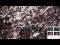 Ricky Eat Acid + Arrange - Alumni 