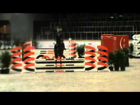 Matisse de Mariposa 4yr Opglabbeek 2016