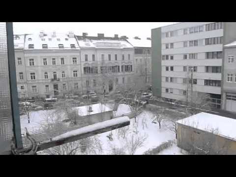 Wunderschöne Altbauwohnung im Herz-Jesu Viertel