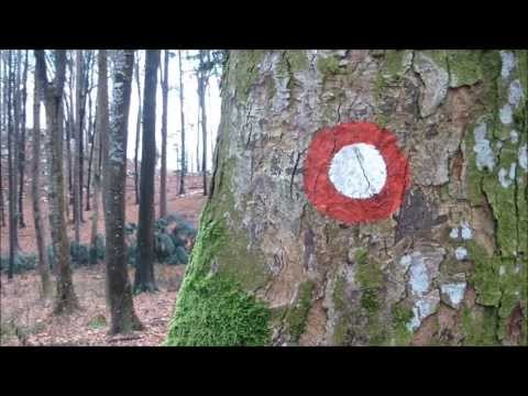 Konjiška gora Golo rebro 600m Babič 749m Skala 777m