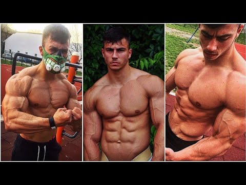 Stipke - The evolution of the Serbian Beast (Stipke Workout Motivation) 2012-2017