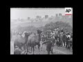Barnum And Bailey S Circus 1901 год