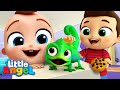 My New Little Pet | Learning Song | Little Angel Kid Songs And Nursery Rhymes