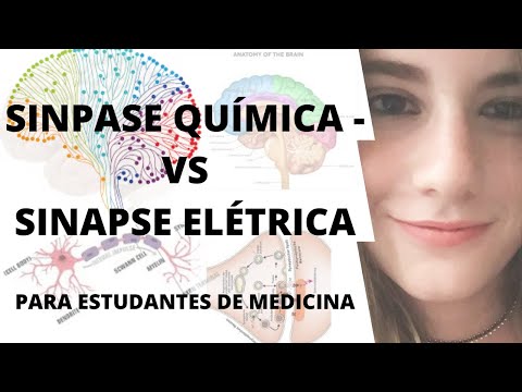 Sinapse Elétrica vs Química (Para Estudantes de Medicina)