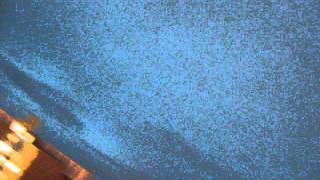 Lab Coast - Anytime Girl