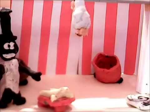 Shaun's Circus - where the impossible becomes possible!