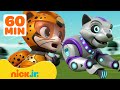 PAW Patrol Cat Pack Vs Robot Cat Meow Meow W Chase Robo Dog 1 Hour Compilation Nick Jr