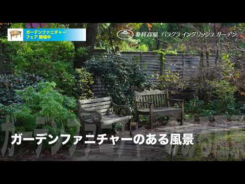 meubles de jardin bois parasol-carré-lanternes